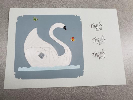 Dewey Pest & Termite