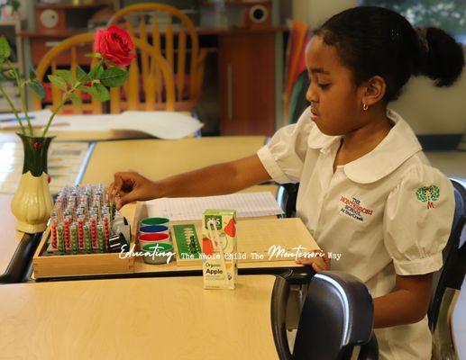 Montessori School at StarCreek
