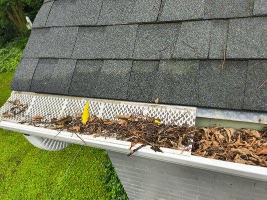 Clogged Gutters