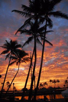 Welcome to Hawaii!!!