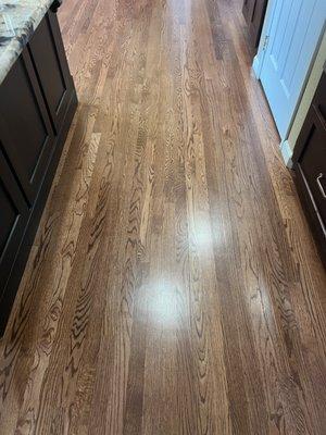 J.R. Hardwood Floor Refinishing & Cleaning
