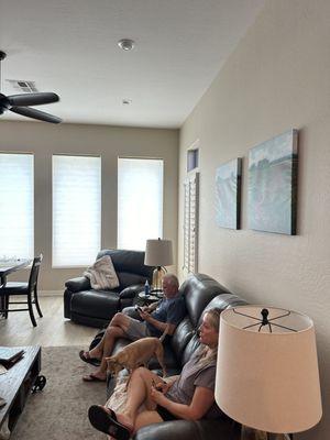 Motorized Cellular Shade