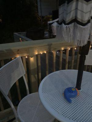 Blackbeards Bargain Bins