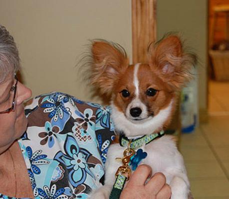 Blairsville Animal Hospital