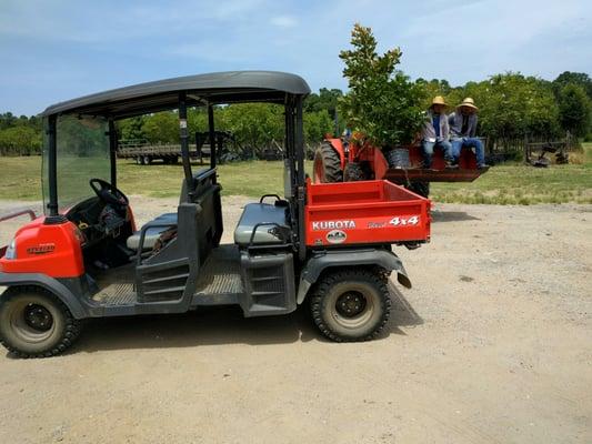 They go out and a tractor and pick up the tree and bring it back to you and put it in your truck