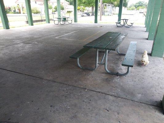 Covered picnic area. Nice and cooler than in sun..
