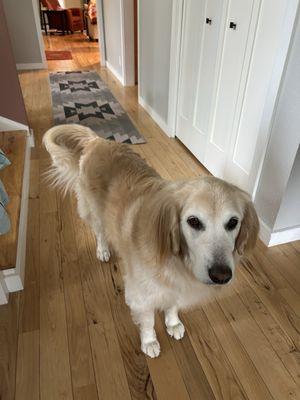 Further Compassionate Grooming