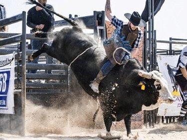 Sheboygan County Fair
