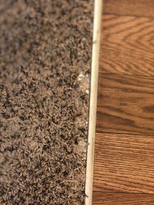 Missing carpets and spikes sticking out