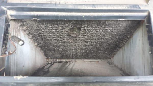 Roland Bazan Heating & Air Conditioning