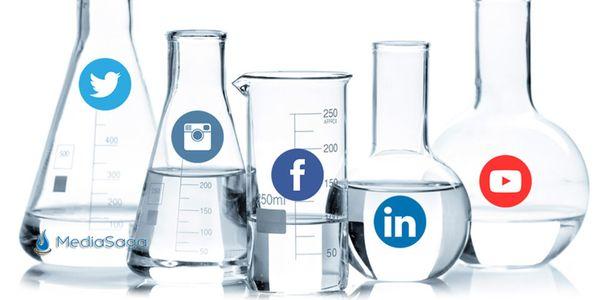 Media Saga Social SEO New York