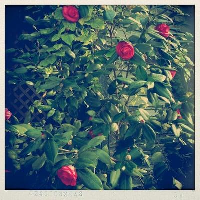 Sumerville Historic District