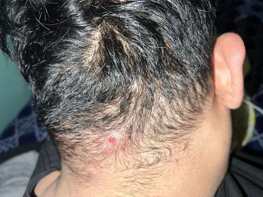 Tigrillos Barbershop