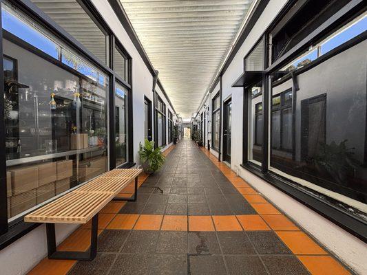 Anna Cherekovsky - The Flex Pointe