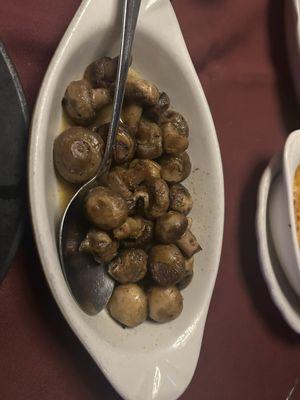 Jack Gibbons Gardens