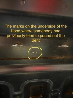 Ms. Tint & Auto Accessories