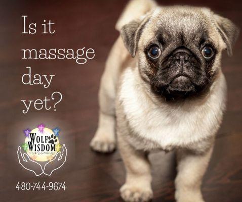 Every day is massage day!