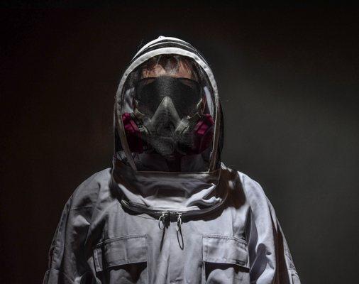 Bug Bully Pest Control