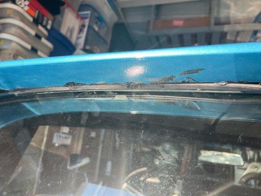 Showcase Collision Specialists