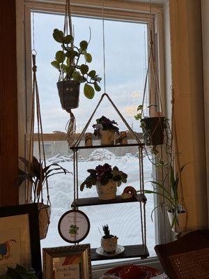 Display for hanging planters