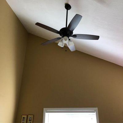 Dexterity Licensed Electrician