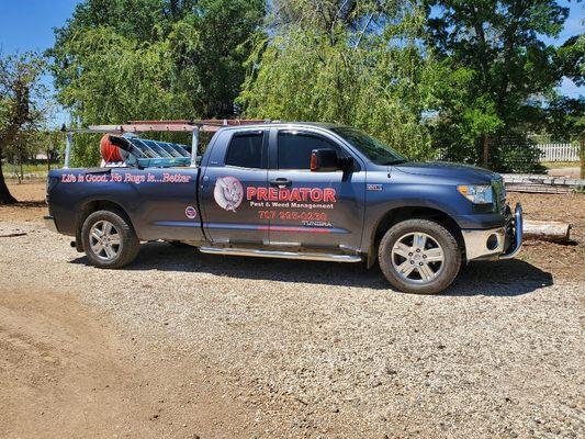 Predator Pest & Weed Management