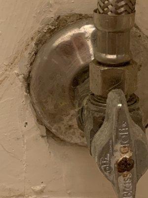 Western Pacific Mechanical