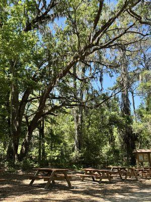 Ichetucknee Springs State Park