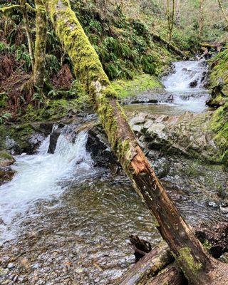 Green Mountain State Forest