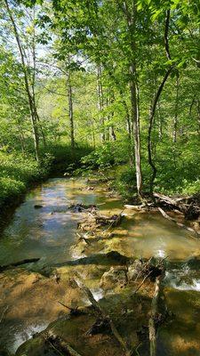Falls Ridge Nature Preserve