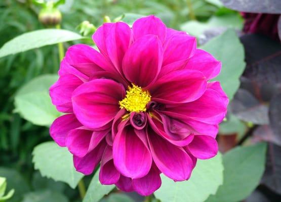 Not So Snotty Pilates