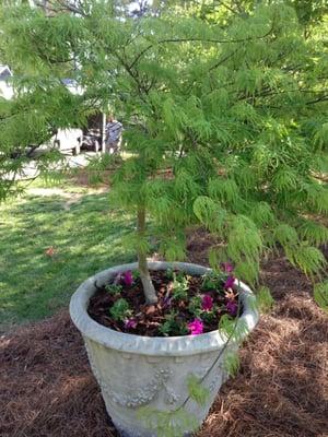 Arnold's Landscaping