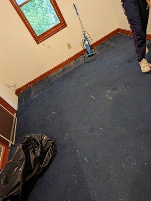 Sparkle Bug Cleaning Services