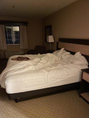 Unmade bed. No housekeeping.