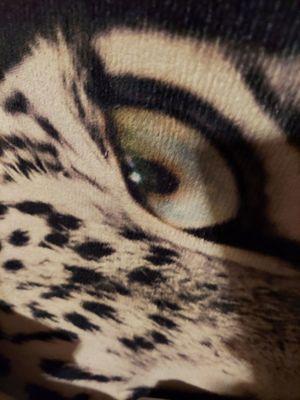 An eyeball cuz I like it