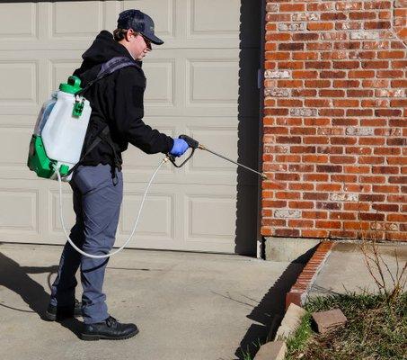 Effective Pest Services