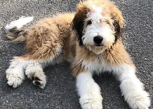 Fife & Wife Ranch LLC