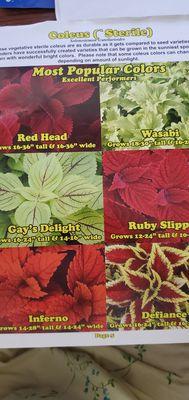 All About Landscaping Lawn-MNTNC