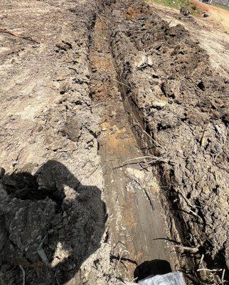 True Image Landscaping and Excavation