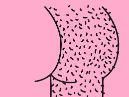 Angelic Moon Holistic Day Spa