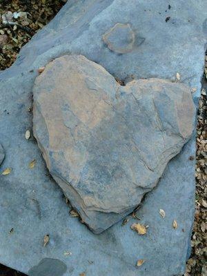 Dials Rock & Fossil Shop