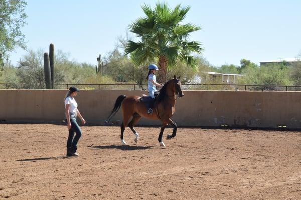 Scottsdale Equestrian Academy