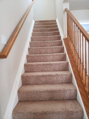 Before with carpet and wood stair YUCK