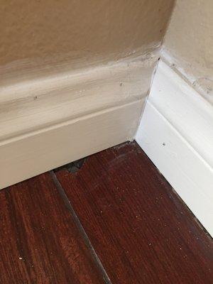 Formula Home Services