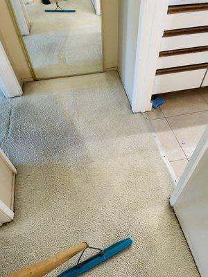 Pacific Green Carpet Cleaning
