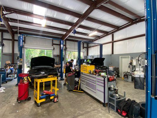 Magic Imports of Gainesville