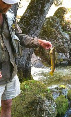 Yosemite Fly Fishing