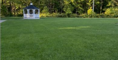 Anthony Agudelo Lawn Care