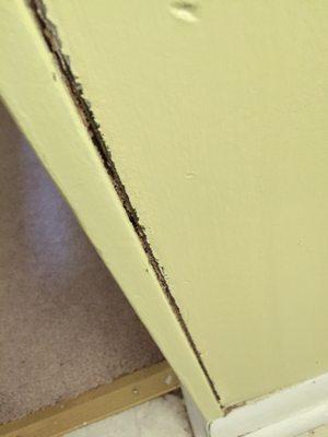 Arab Termite & Pest Control