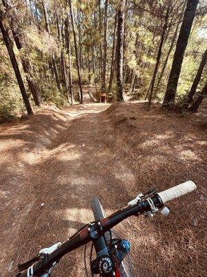 Lake Bastrop North Shore Park